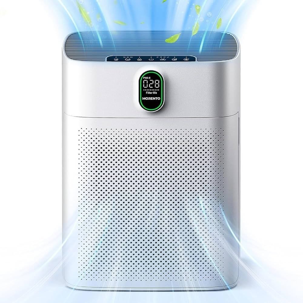 The Ultimate Guide to Choosing Air Purifiers for Large Rooms - 2024 - Review